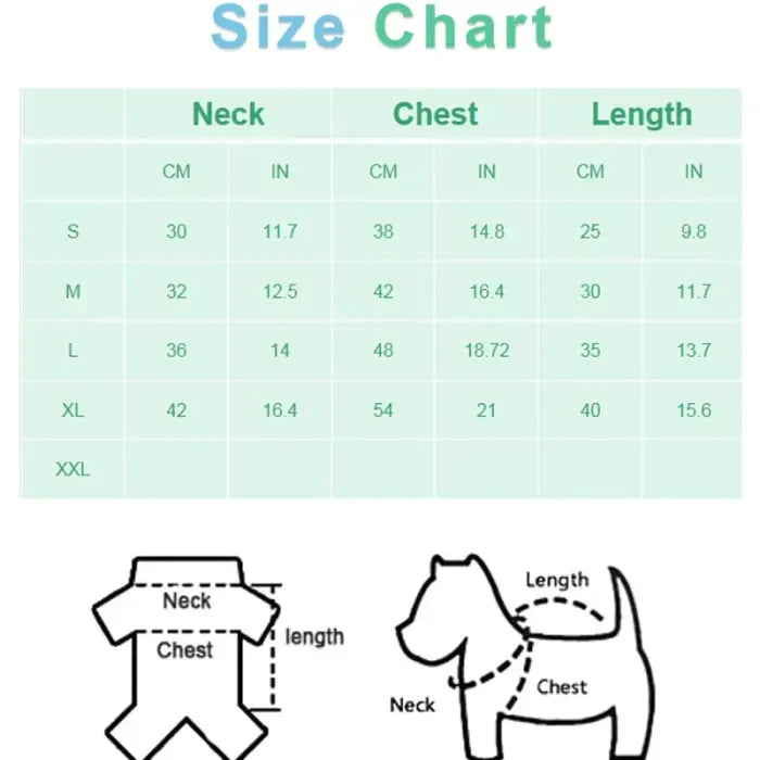 Santa's little helper